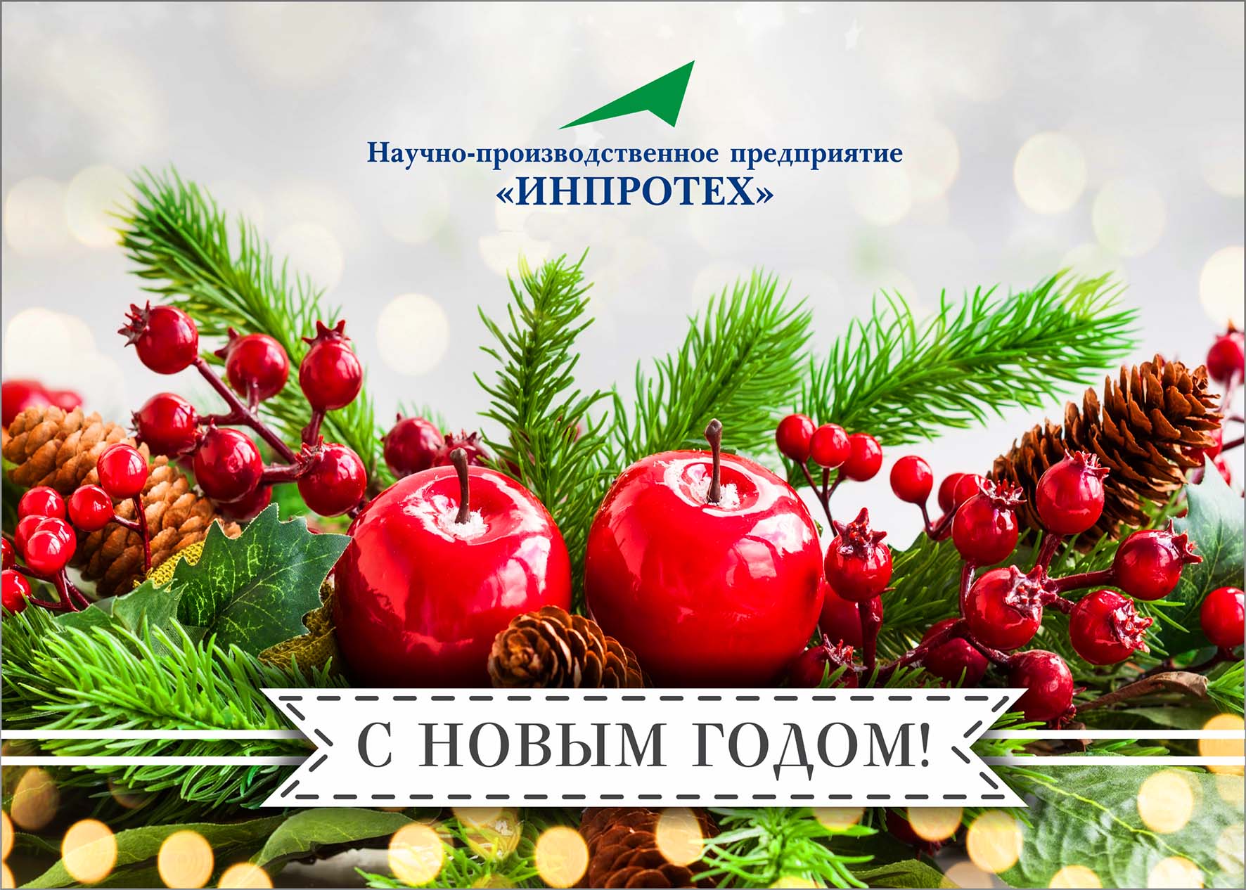 Коллектив ООО "НПП "Инпротех", в лице генерального директора Кашфуллина Р.М., поздравляет с наступающим Новым годом!